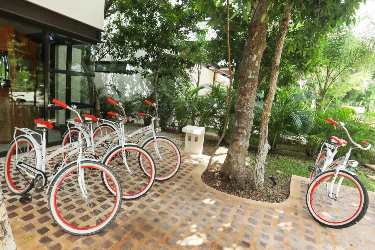 *** Bed and breakfast Xaha Villas Suites&Golf Resort Chacalal México